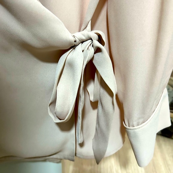 Zara Blush Blouse - Picture 2 of 3